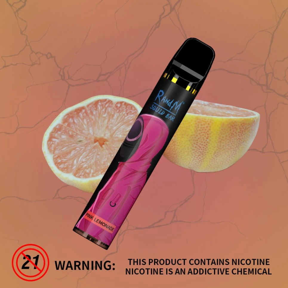 2023 Randm R&amp;M 2500 Puffs Einweg-Vape EU USA Hot Verkaufen