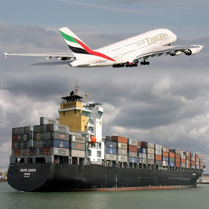 Ocean Freight Forwarder Sea Logistics Shipping From China to Chad, Central Africa DDU/DAP/DDP