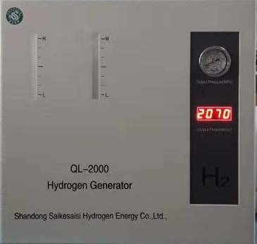 7 Bar Pem Large Flow Hydrogen Generator CE 2 Lpm