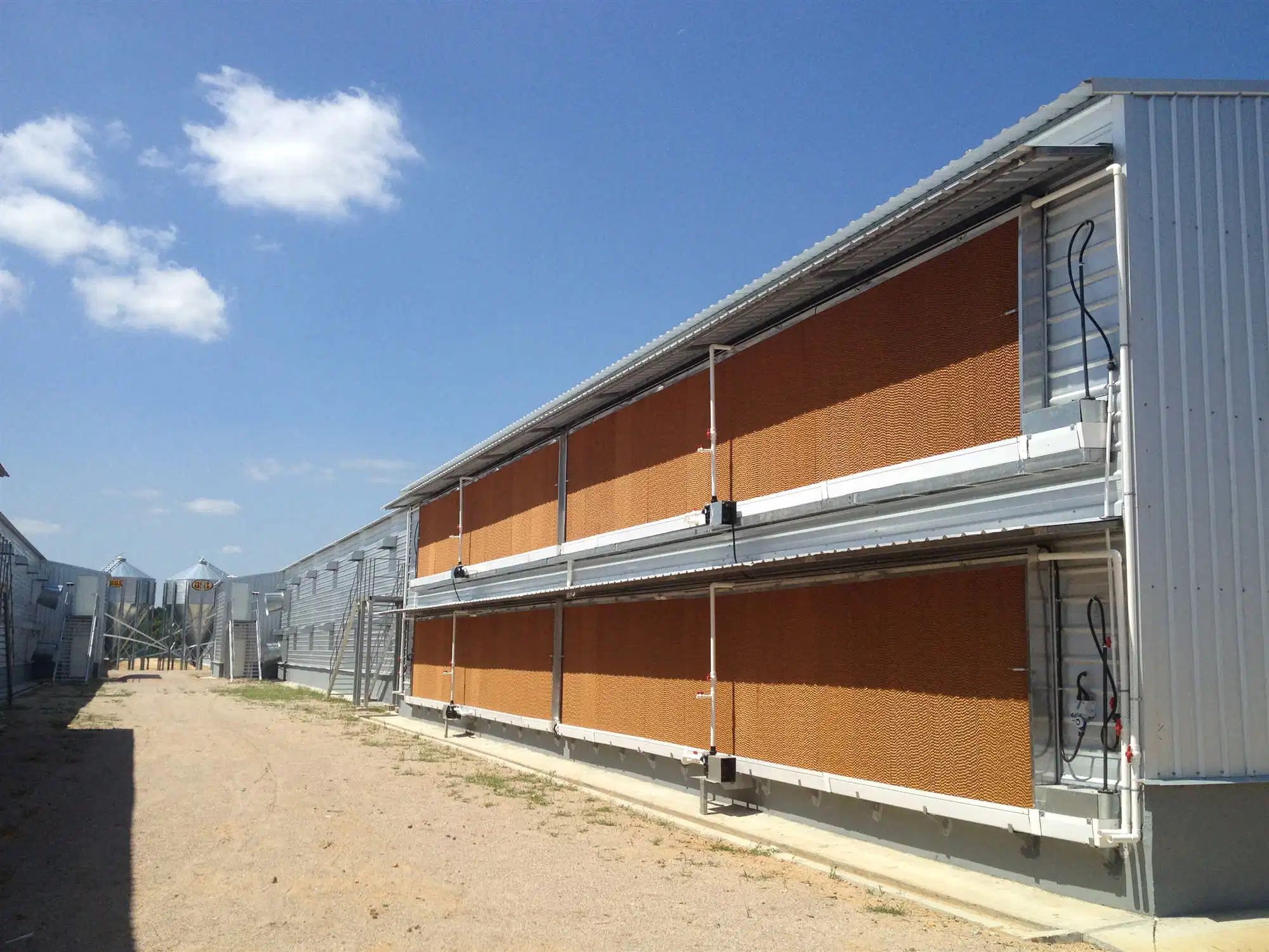 Casa de aves de corral pollo con equipos automáticos Wholeset