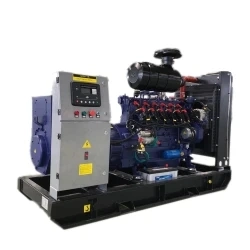 20kw 30kw 40kw 50kw LNG Gas Biogas Generator Generator Gas Natural