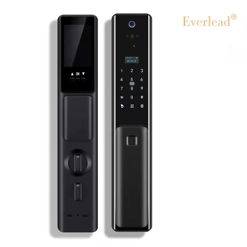 Fingerprint Smart Mobile APP Alarm Anti-Theft Commercial Double Sided Push Pull Door Locks with Recognition Facial Scanner