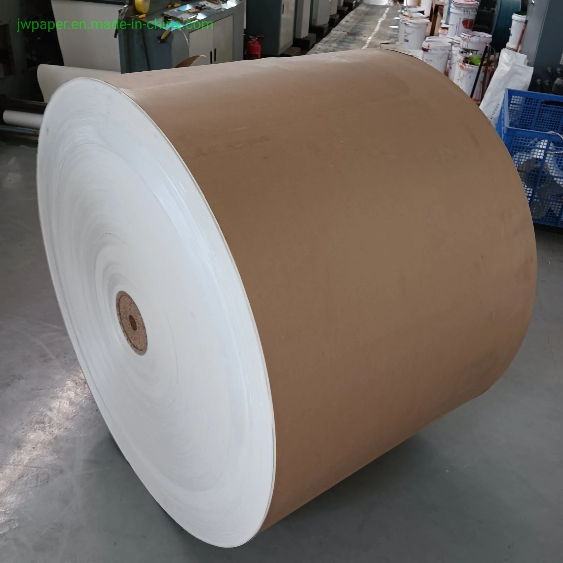 Papier gobelet papier papier couché PE à paroi simple de qualité alimentaire Gobelet en rouleau de matière première