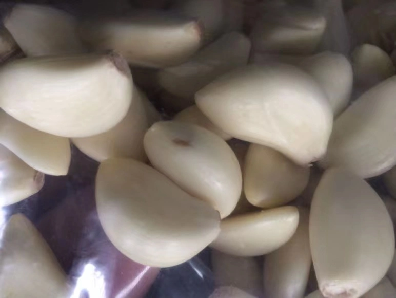 Chinese High quality/High cost performance  Fresh Peeled Garlic