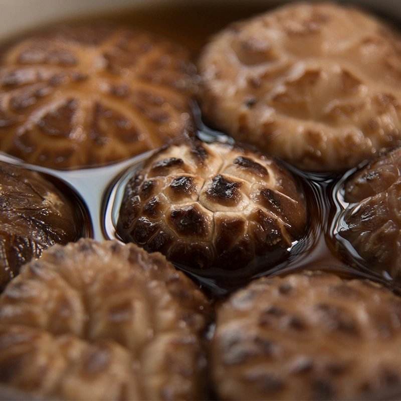 Xiang Gu Chinês Natural Heath Alimentos à base de plantas cogumelo Shiitake