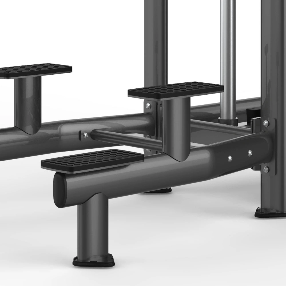 La fuerza Gimnasio Chin/DIP Assist (M7PRO-1010)