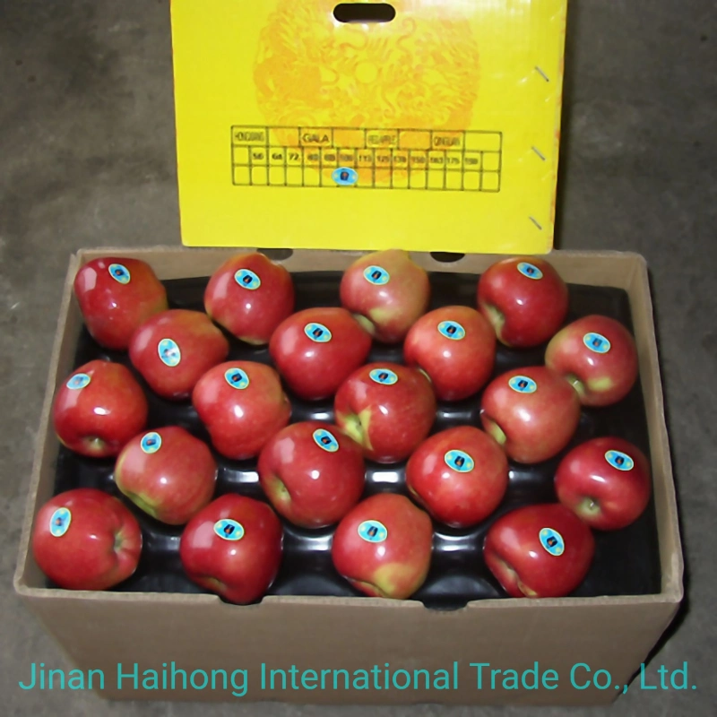 2019 Las frutas frescas de manzana Fuji manzana roja de China