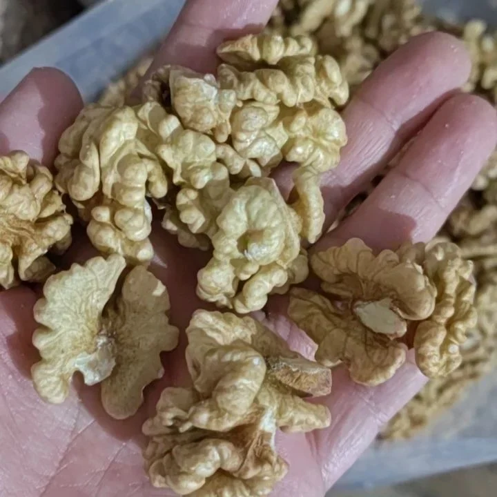 Chinese Walnut New Crop Walnut Price Dryfruits 185 Walnut Kernels Without Shell