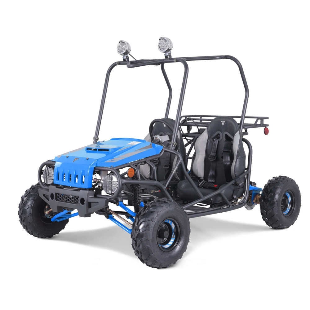 125cc Mini Jeep Auto Buggy Legal carretera Go Kart