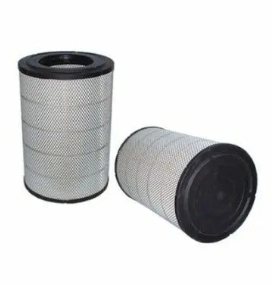 Auto Parts Af26244 Air Filter for Truck Parts