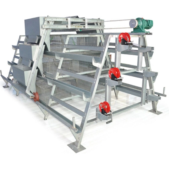 a Type Layer Chicken Cages with Automatic Poultry Farm Machinery