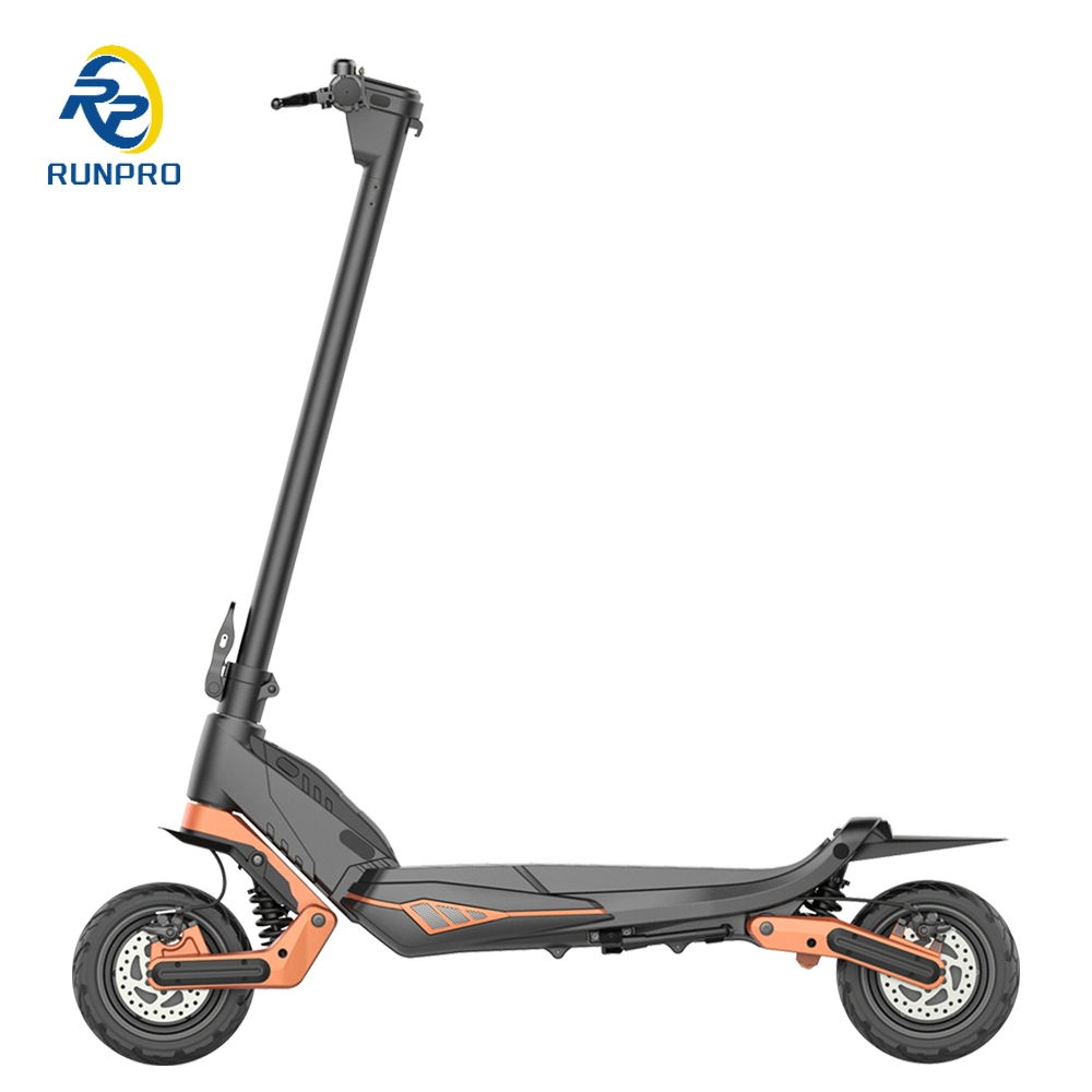 Riding Scooter for Mobility Electric Scooters 500W*2 Dual Motor Lithium Battery 48V 16ah