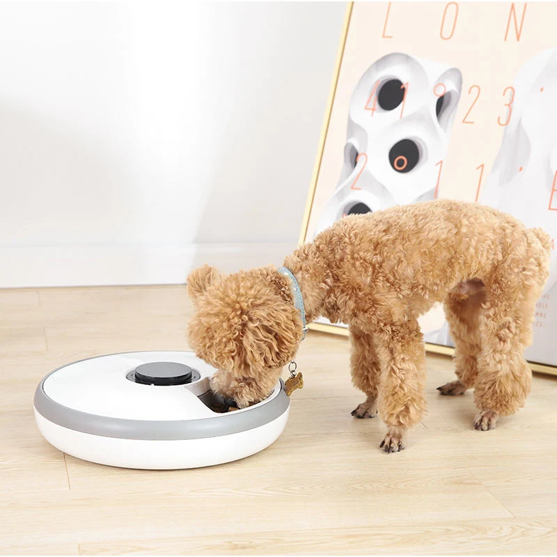 Pet Supply 6-Meal Dog Automatic Pet Feeder LCD Smart Programmable Time Setting Pet Cat Food Dispenser in Stock