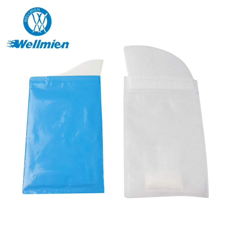 Disposable Travel Professional Emergency Urine Bag Top Quality Mini Toilet Emergency Absorption Hospital Urine Bag Portable Toilet Outdoor PEE Urine Bag