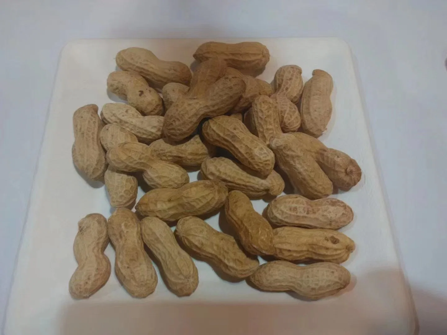 Washed Virginia Raw Groundnut in Shell