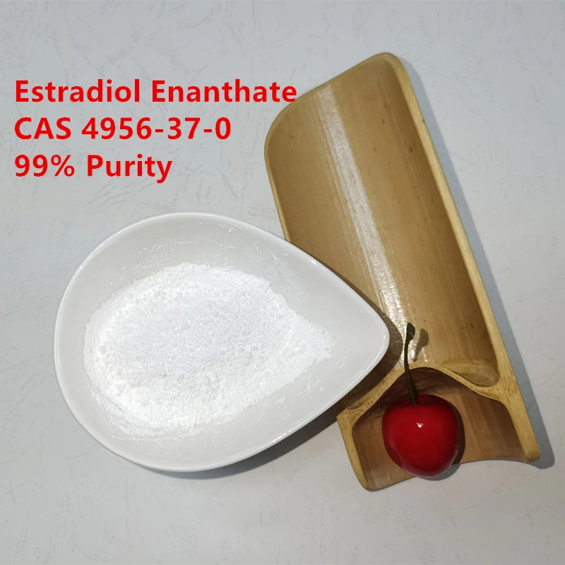 Reddit High Recommend Shop Buy Estradiol Enanthate Powder Estradiol Enanthate 4956-37-0 with Worldwide Shipping