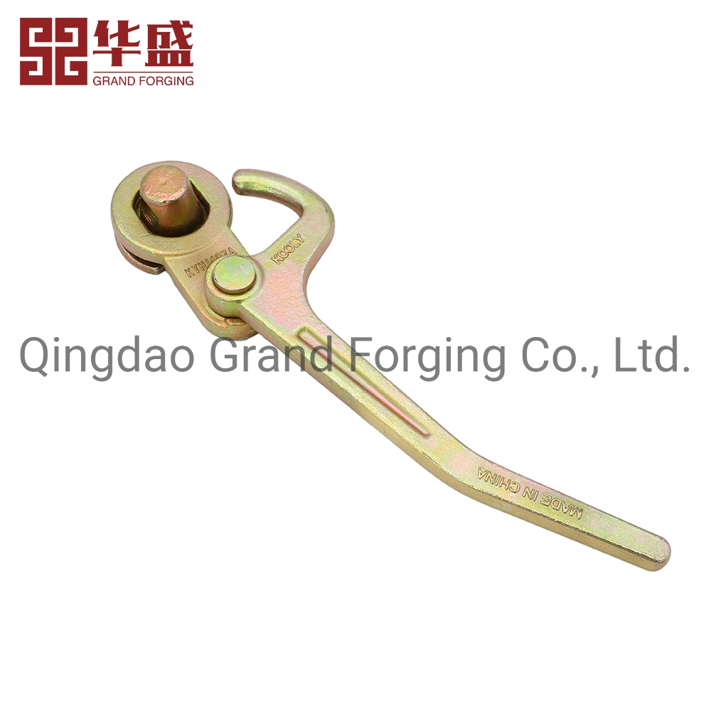 Hot Forging Transport Truck Carriage Trailer Overcent Latch Handle