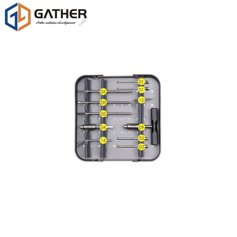 OEM Stainless FDA Gather Ao Locking Bone Lower Limbs Plate and Screw