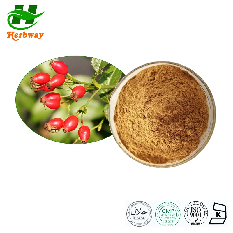 Herbway Natural Raw Material Free Sample Rosehips Fruit Extract Polyphenols Anti-Aging Vitamin C