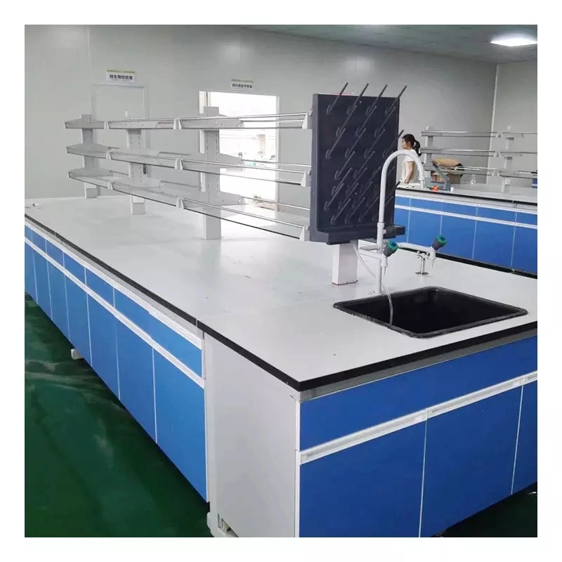 High quality/High cost performance  School Physics Desk Furniture Lab Table with Sink Laboratory Steel Lab Work Bench Work Station All Steel Modern