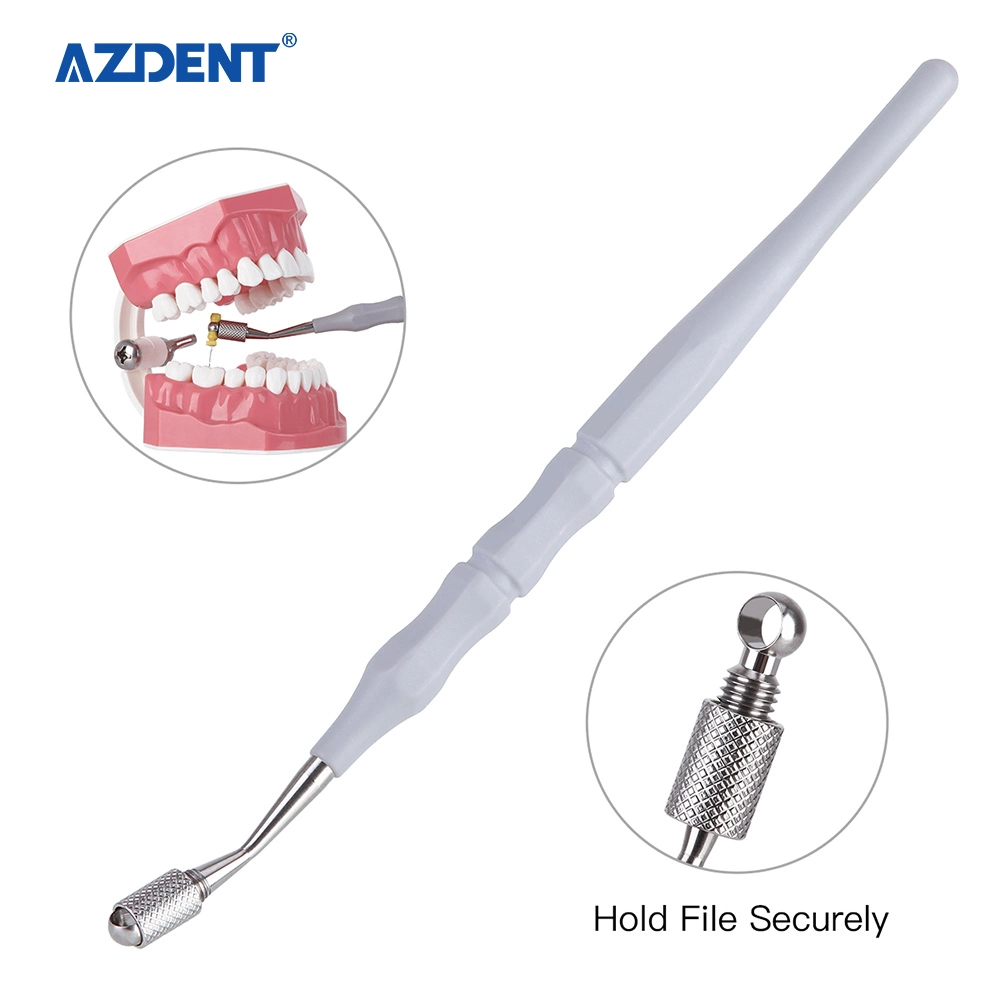 More Convenient Dental Endodontic Hand File Holder with Cheap Price