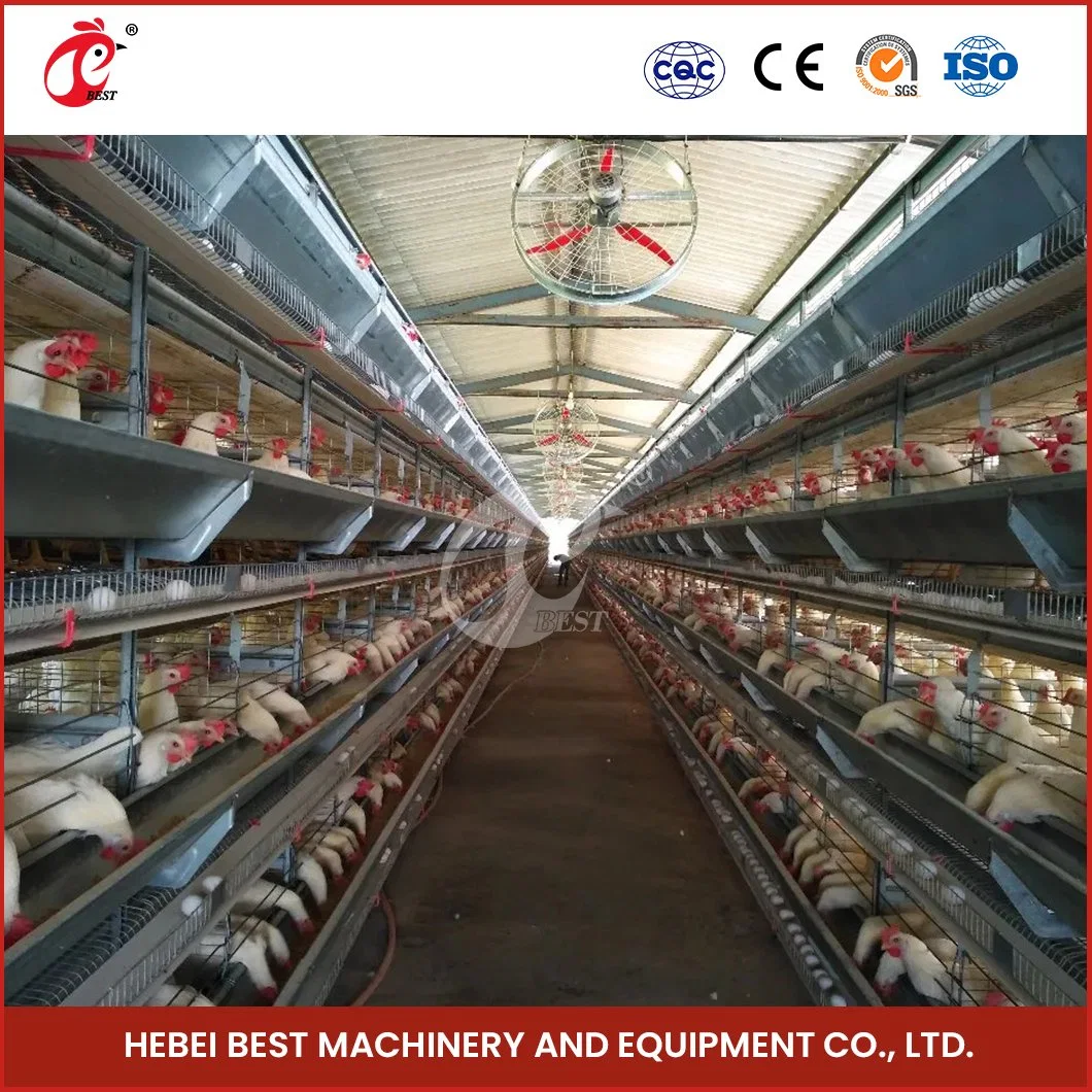 Bestchickencage Layer Hen Cage China Automatic Breeding Chicken Layer Cage Suppliers Vacuum Siphon Principle Low Price Layer Cage