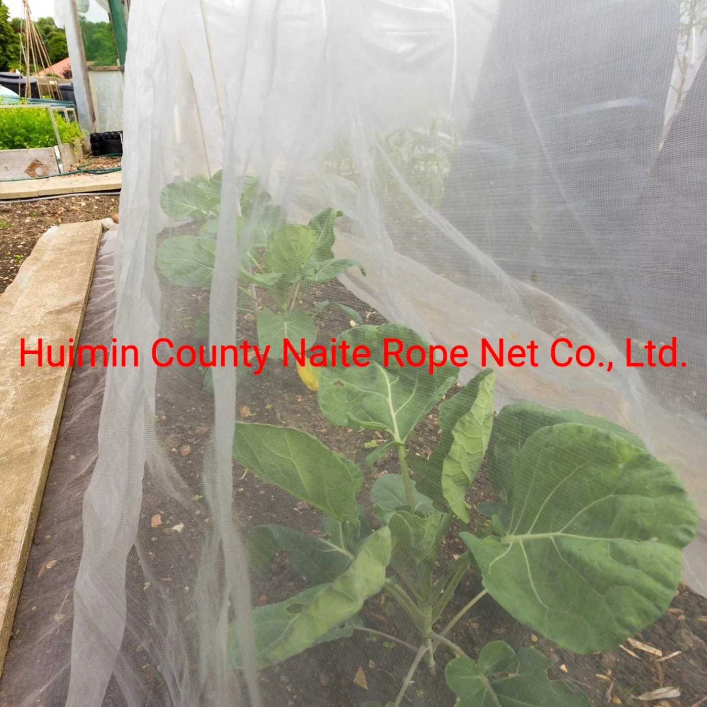 HDPE Bug Net Jardín Nettings Greenhouse Cercas malla fina insecto Mosquitera Pájaro neto para proteger hortalizas Flores Frutas árboles plantas