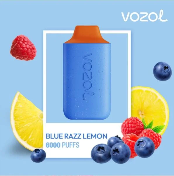 Latest Flavors Top Quality Vozol Star 6000 Puffs 14ml E-Juice Mesh Coil Disposable/Chargeable Vape Cartridge Rechargeable Portable vape Kit Atomizer Wholesale/Supplier