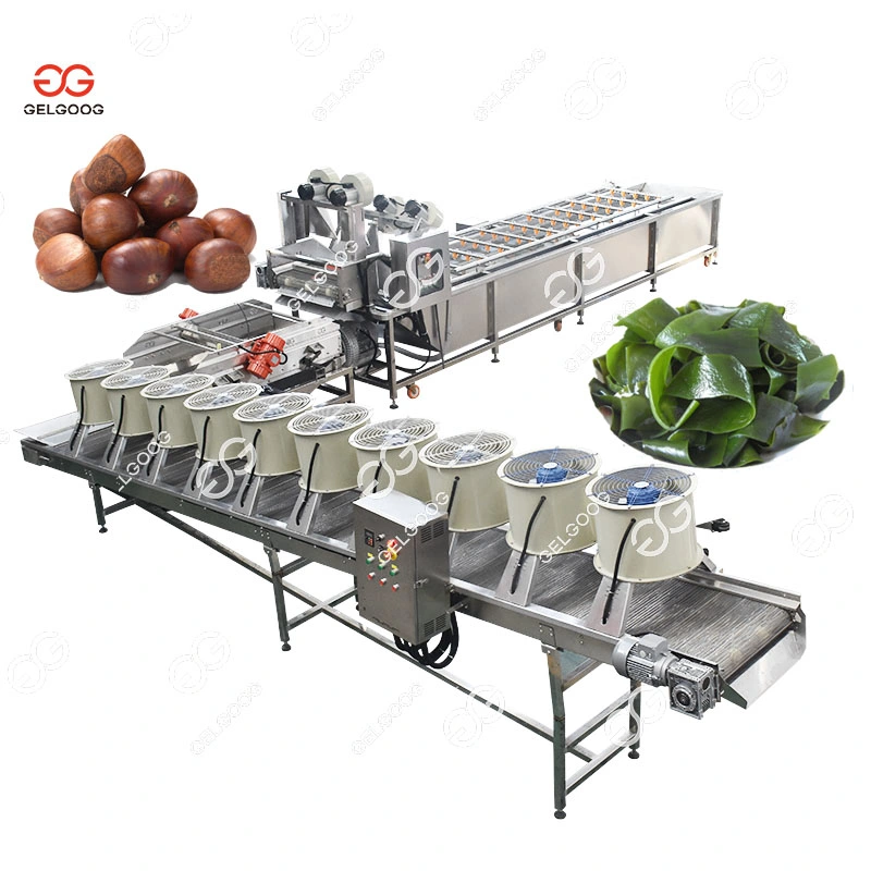 Gelgoog Guangzhou Automatic Apple Orangel Lemon Fruit Cleaning Machine Sugar Beet and Vegetable Washing Equipment