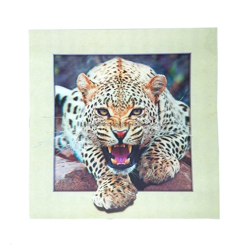 Top Sale 40X40cm Lenticular 5D Pictures