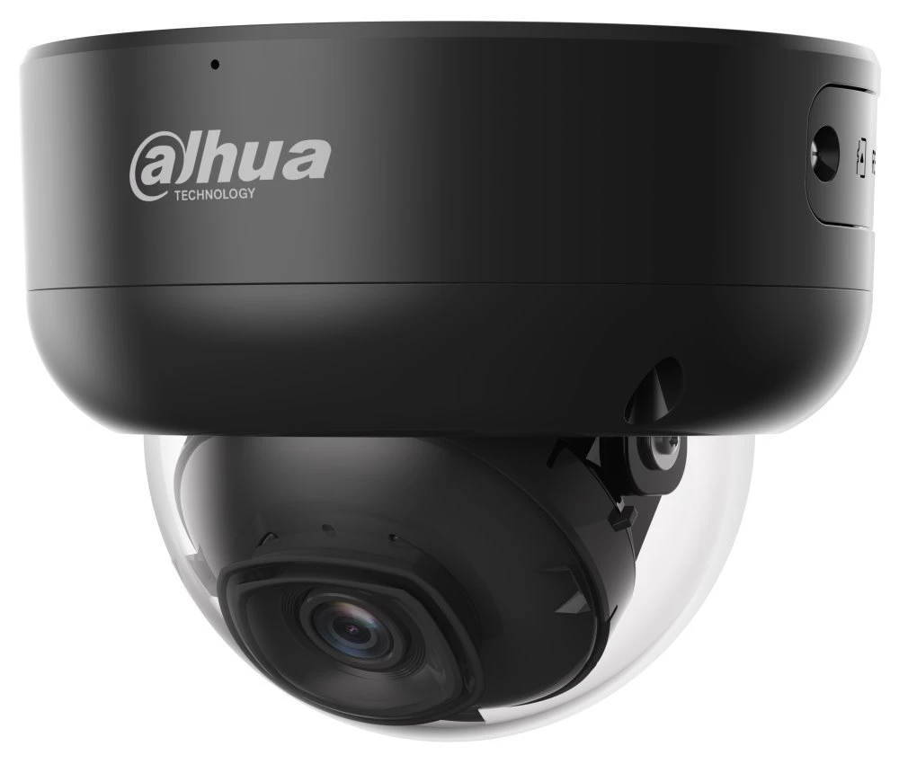 Dahua OEM Ipc-Hdbw3241e-S-S2 2MP IR Fixed-Focal Dome IR Wizsense Network Camera