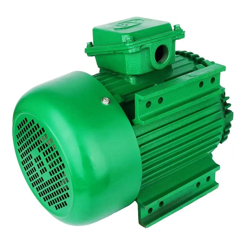 NEMA Standard 1200rpm Three Phase 20 HP AC Induction Electric Motor