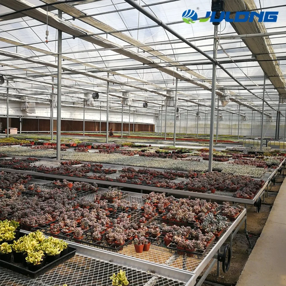 Multi-Span Agriculture Po PE Film Greenhouse for Tomato Planting