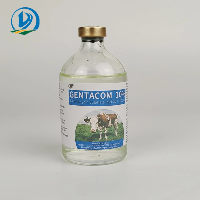 Anti-infecção gentamicina sulfato injecção 10% 100 ml Veterinária