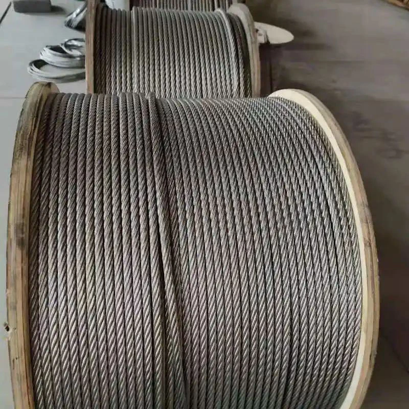 Round Strand Wire Rope 1*7 7*7 1*19 7*19 6*12 6*19 6*37 FC Iwrc Wire Rope Galvanized Wire Rope Elevator Rope Stainless Steel Wire Rope TPU/PVC Wire Rope