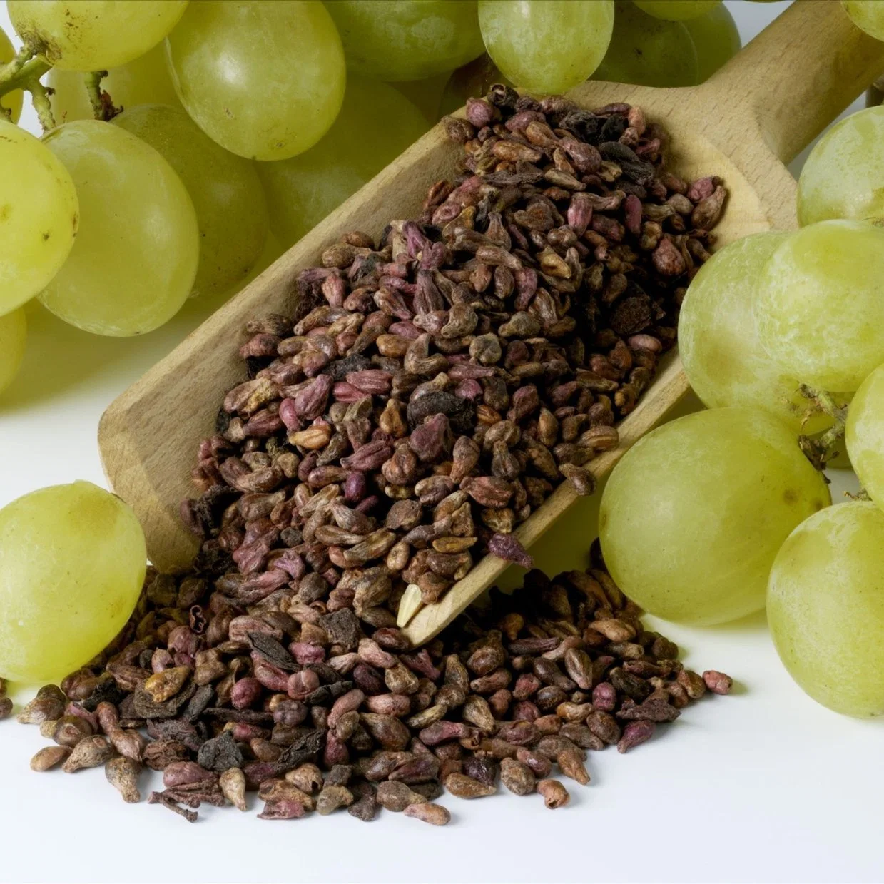 100 % Pure Natural High -Quality Natural Organic Extract of Grape Seed