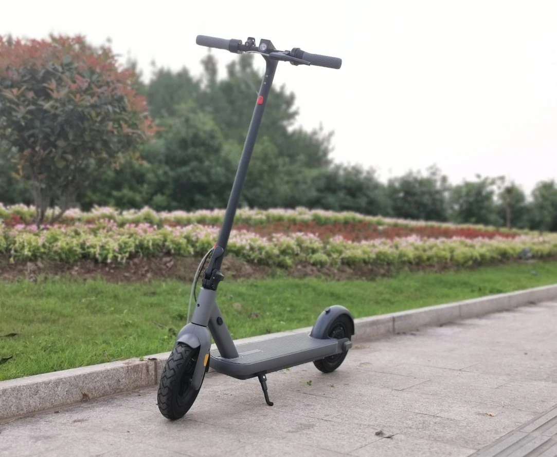 Max Load 120kg Max Speed 30km/H Adult Children Wellsmove Electric Scooter