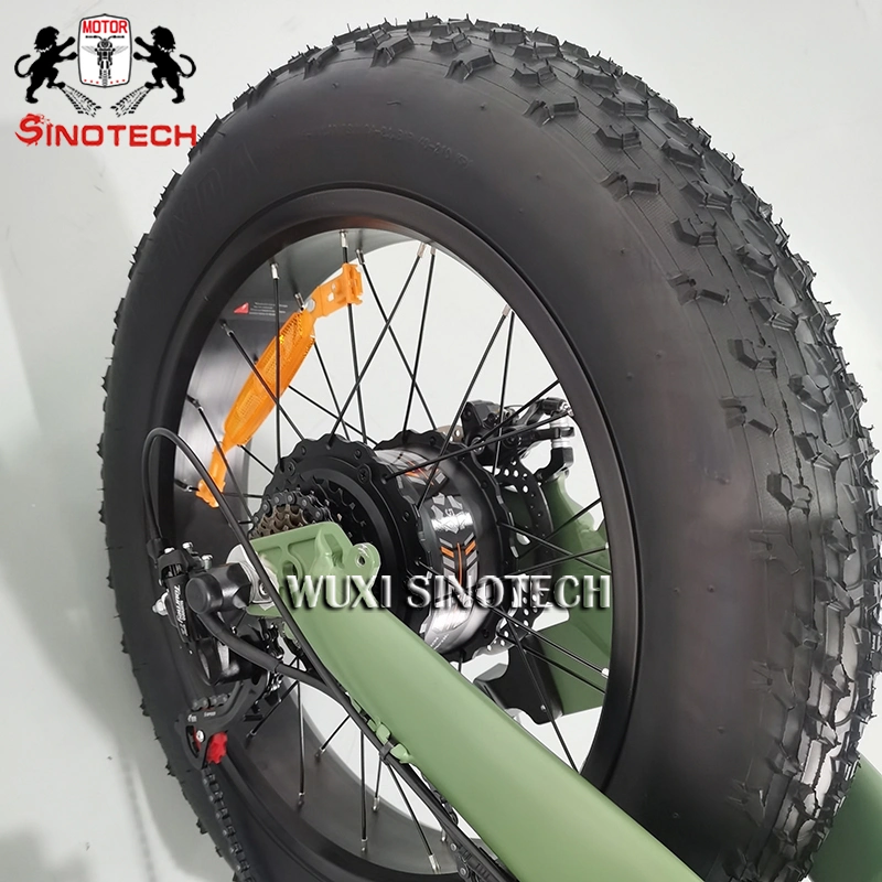 2023 New Arrival Wholesale/Supplier Fat Bear 20in Electric Bicycle Ebike