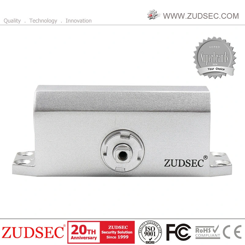 Aluminum Adjustable Hide Concealed Overhead Door Closer for Hotel Use