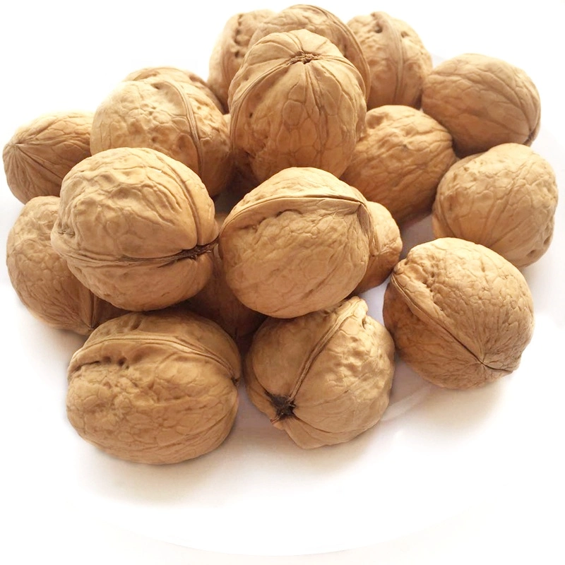 Thin Shell Fresh Delicious Nutrition Chinese Walnut Kernel Max Bag AAA Bulk Style Lagerung Cool Verpackung Verpackung Lebensmittel