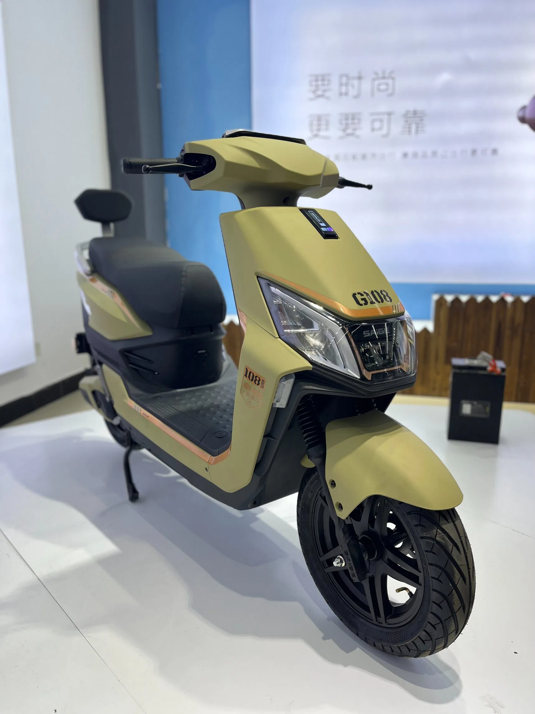 2500W High Speed Electric Motorcycle with Disc Brake 220
