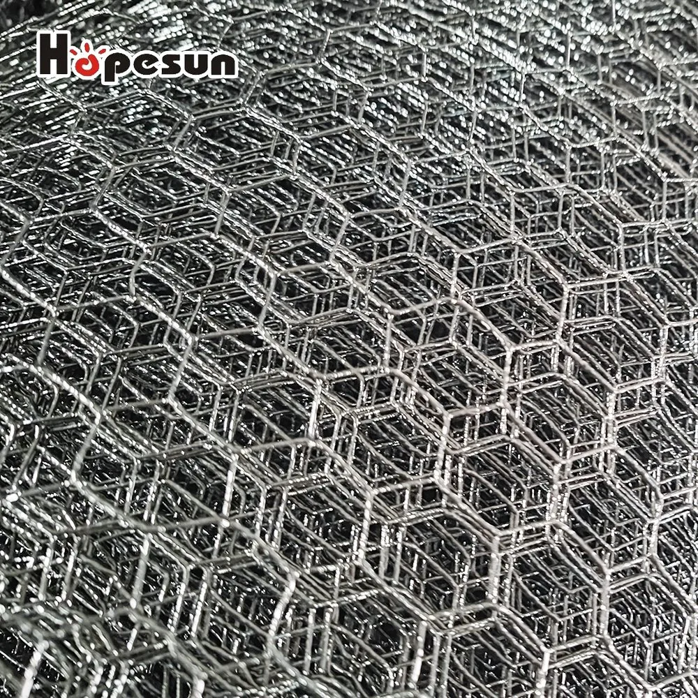 Wire Mesh en acier inoxydable de l'Australie/chien de poulet sur le fil d'Escrime filet métallique à tête hexagonale en acier inoxydable