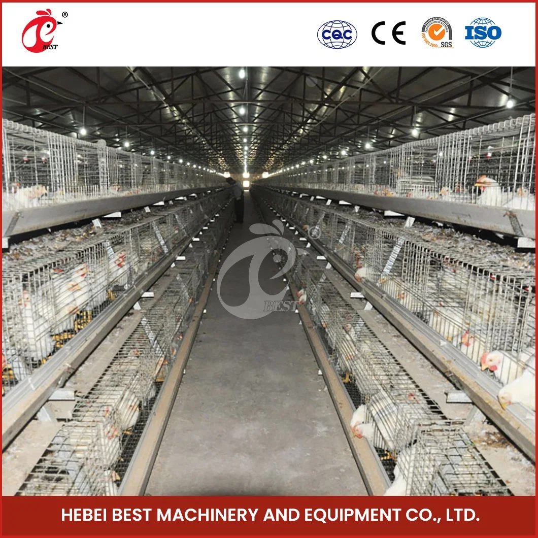 Bestchickencage China Chick Chicken Cage Suppliers a Frame Automatic Broiler Cages OEM Custom 2cm Engraving Thickness Best Prefab Chicken Coop