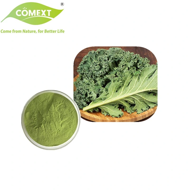 كومانكس تغذية سائبة عالية الجودة أخضر مسحوق الطعام النباتي Kale مسحوق