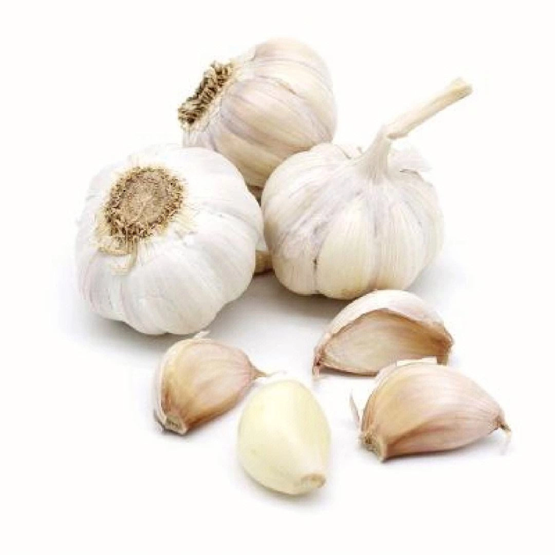 Fresh Vegetable 5.5cm White Garlic 10kg/Mesh Bag