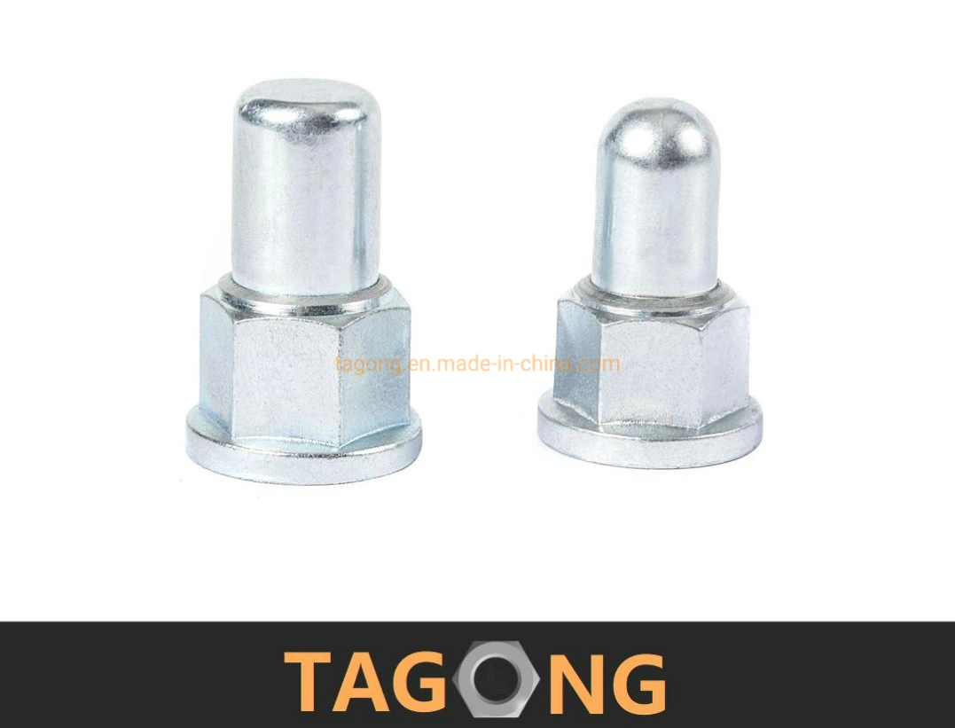 Zinc Plated Carbon Steel Nut DIN1587 DIN917 Acorn Nut Cap Nut