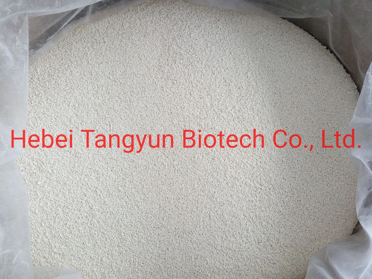 Crop Protection Pesticide Bensulfuron-Methyl 60% Wdg Herbicide