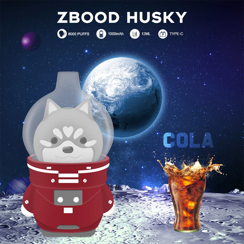 Hot Sell Fast Shipping Wholesale Electronic Cigarettes Zbood Husky 8000 Puffs 12ml 1000mAh Rechargeable Disposable Vape Pod