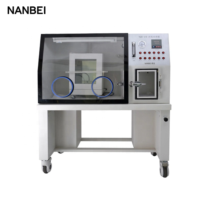 Nanbei Oil-Free Vacuum Pump Medical Equipment Anaerobic Bacteria Incubator Price