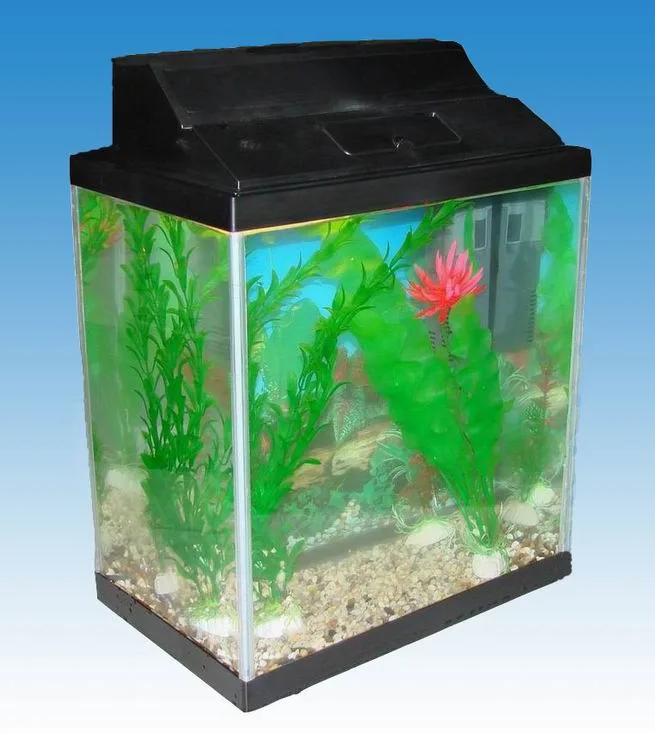 Beatuful Design OEM Glas Fisch Tank